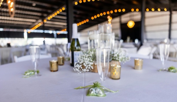 Elegantly lit wedding reception, full event planning by Gather